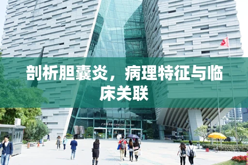 剖析胆囊炎，病理特征与临床关联