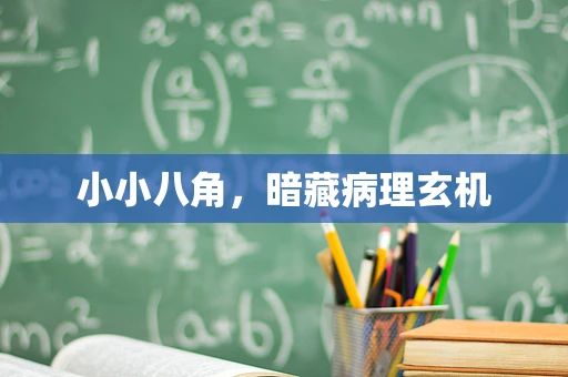 小小八角，暗藏病理玄机