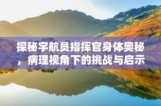 探秘宇航员指挥官身体奥秘，病理视角下的挑战与启示