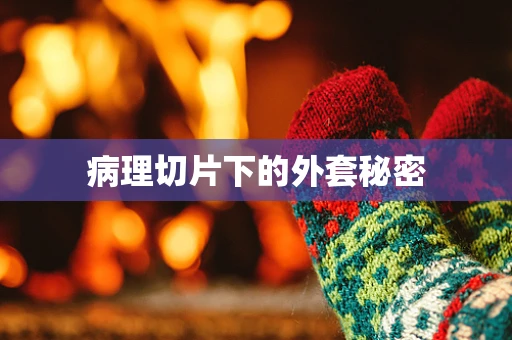 病理切片下的外套秘密