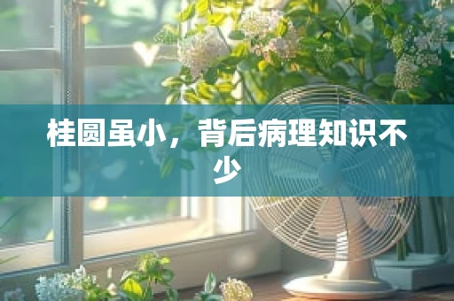 桂圆虽小，背后病理知识不少