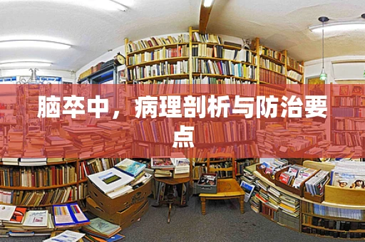 脑卒中，病理剖析与防治要点