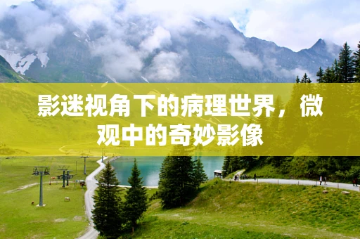 影迷视角下的病理世界，微观中的奇妙影像