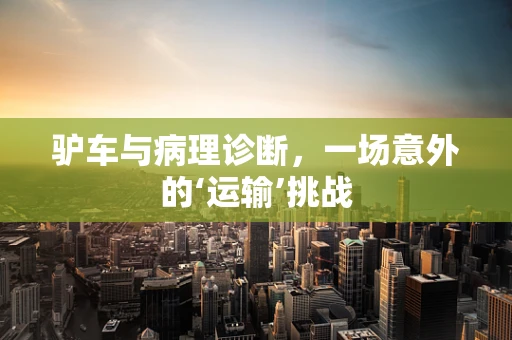 驴车与病理诊断，一场意外的‘运输’挑战