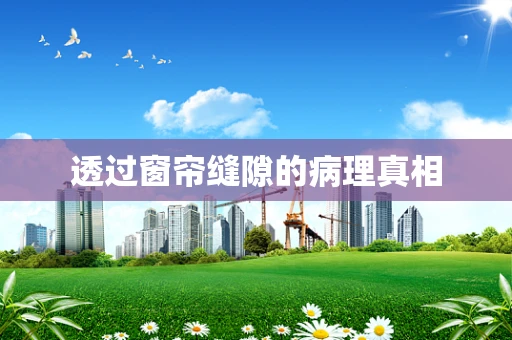 透过窗帘缝隙的病理真相