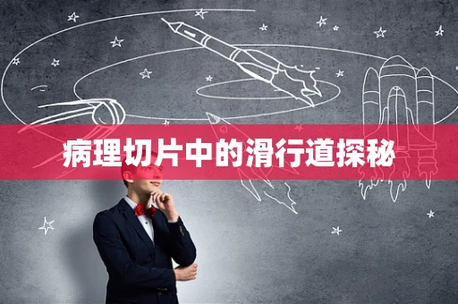 病理切片中的滑行道探秘