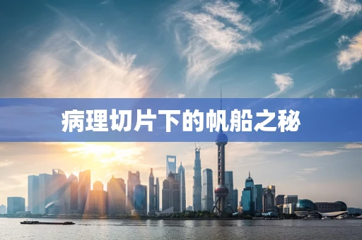 病理切片下的帆船之秘