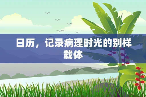 日历，记录病理时光的别样载体