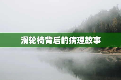 滑轮椅背后的病理故事