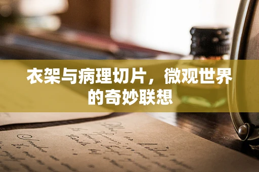 衣架与病理切片，微观世界的奇妙联想