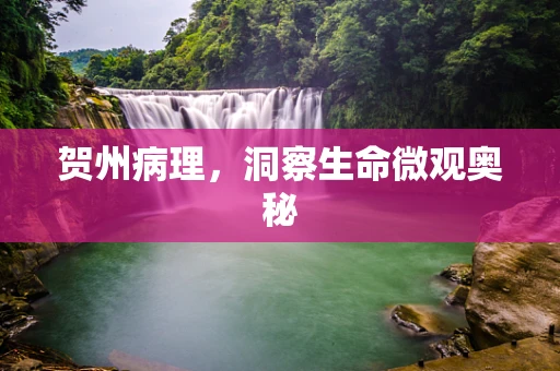 贺州病理，洞察生命微观奥秘