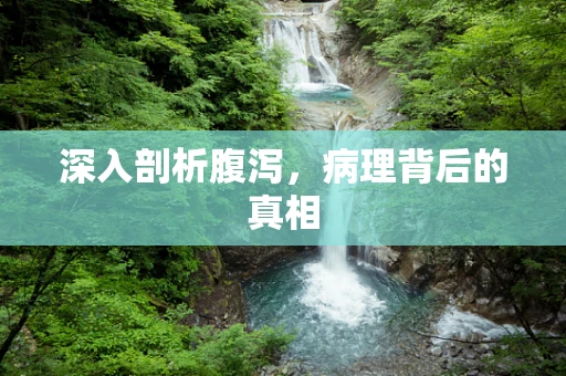 深入剖析腹泻，病理背后的真相