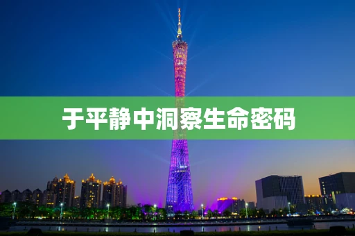 于平静中洞察生命密码