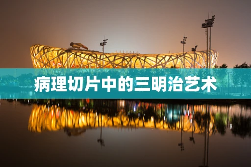 病理切片中的三明治艺术