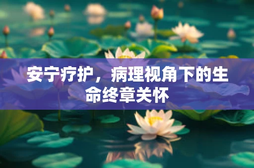 安宁疗护，病理视角下的生命终章关怀