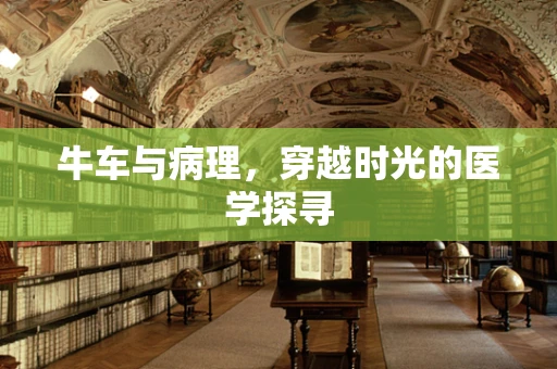 牛车与病理，穿越时光的医学探寻