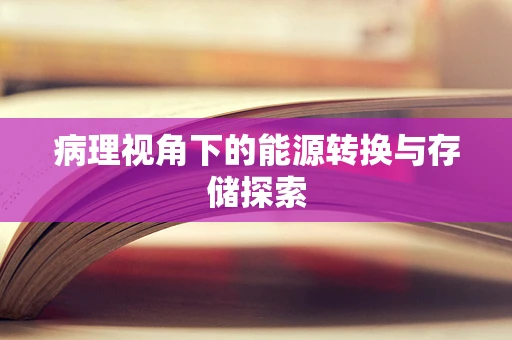 病理视角下的能源转换与存储探索