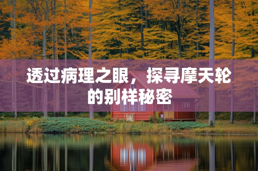 透过病理之眼，探寻摩天轮的别样秘密