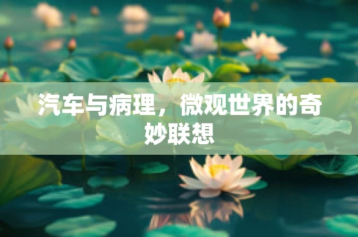 汽车与病理，微观世界的奇妙联想