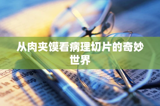 从肉夹馍看病理切片的奇妙世界