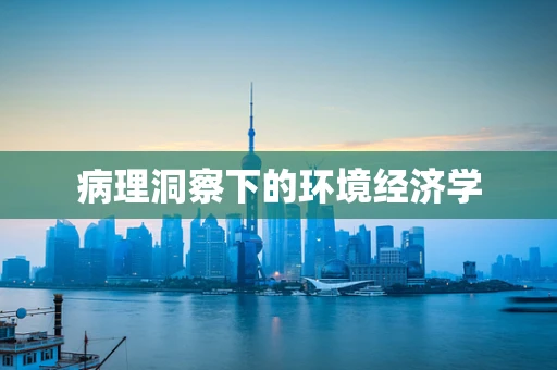 病理洞察下的环境经济学