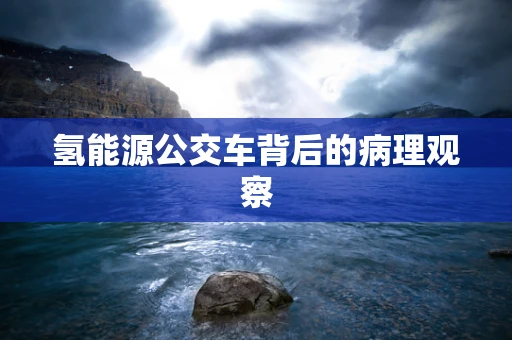 氢能源公交车背后的病理观察