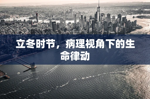 立冬时节，病理视角下的生命律动