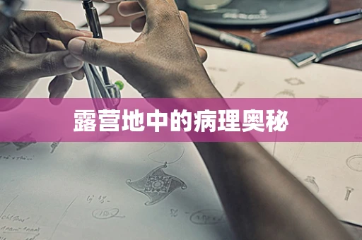 露营地中的病理奥秘