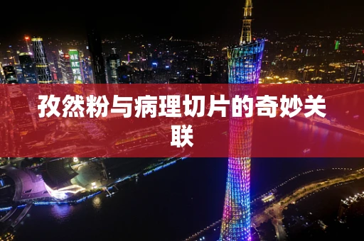 孜然粉与病理切片的奇妙关联