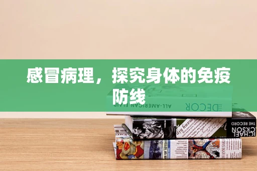 感冒病理，探究身体的免疫防线