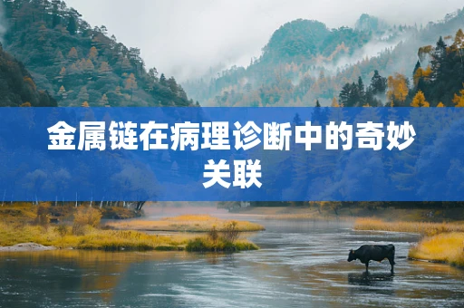 金属链在病理诊断中的奇妙关联