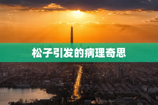 松子引发的病理奇思
