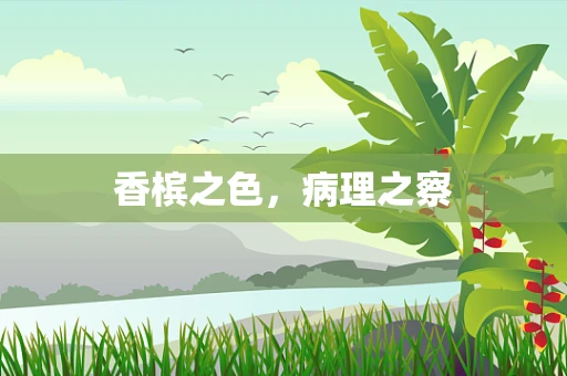 香槟之色，病理之察