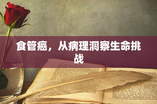 食管癌，从病理洞察生命挑战