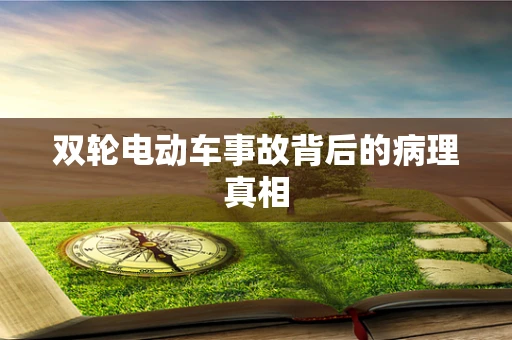 双轮电动车事故背后的病理真相