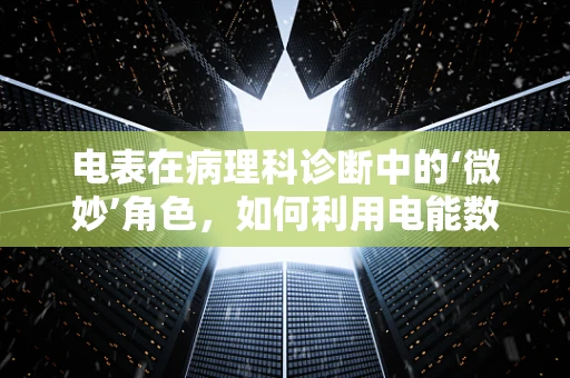 电表在病理科诊断中的‘微妙’角色，如何利用电能数据优化样本处理？