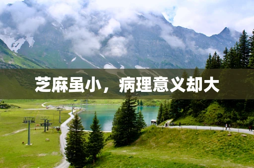 芝麻虽小，病理意义却大
