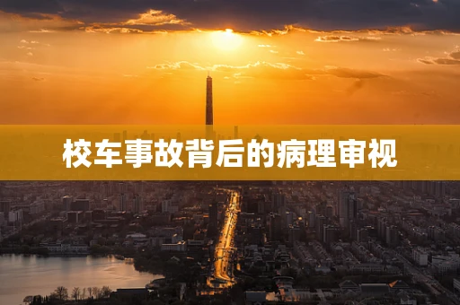 校车事故背后的病理审视