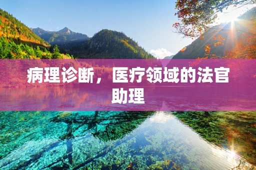 病理诊断，医疗领域的法官助理