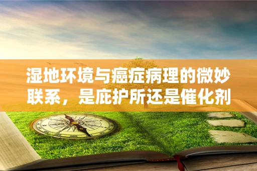 湿地环境与癌症病理的微妙联系，是庇护所还是催化剂？