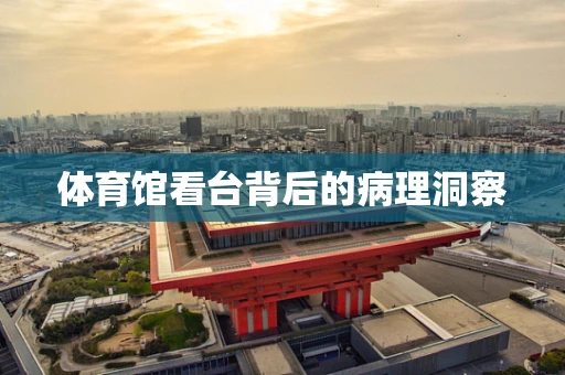 体育馆看台背后的病理洞察