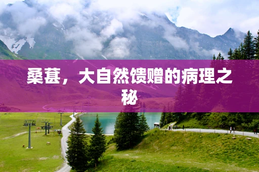 桑葚，大自然馈赠的病理之秘