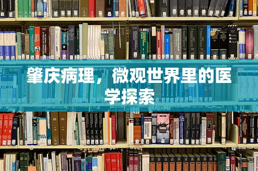 肇庆病理，微观世界里的医学探索