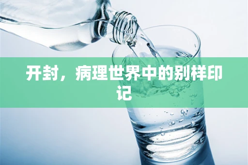 开封，病理世界中的别样印记