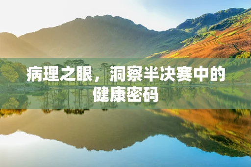 病理之眼，洞察半决赛中的健康密码