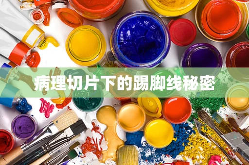病理切片下的踢脚线秘密