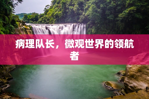 病理队长，微观世界的领航者