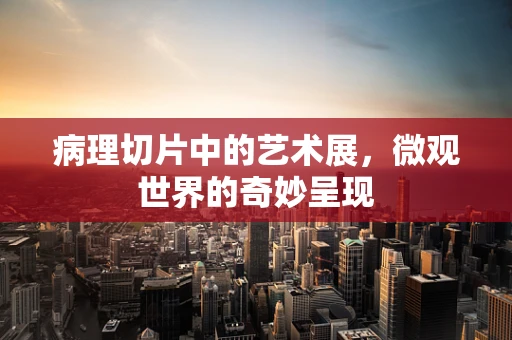 病理切片中的艺术展，微观世界的奇妙呈现