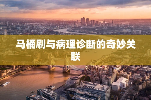 马桶刷与病理诊断的奇妙关联