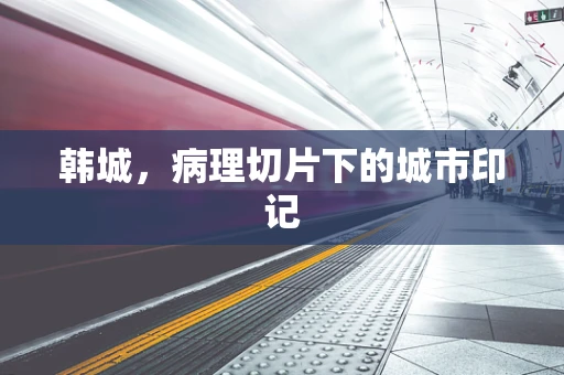 韩城，病理切片下的城市印记